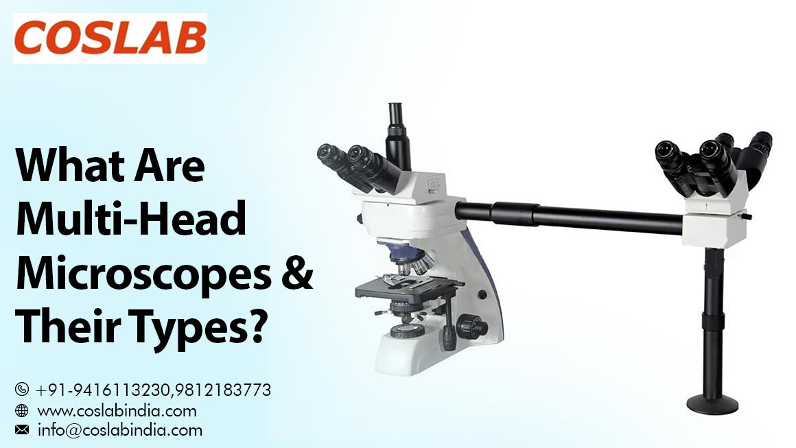 Penta Head Microscope Manufacturers