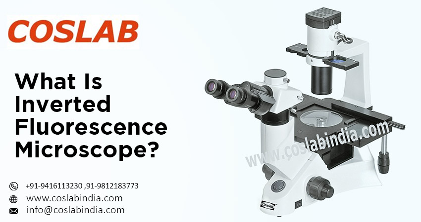 Inverted Fluorescence Microscope Manufacturer