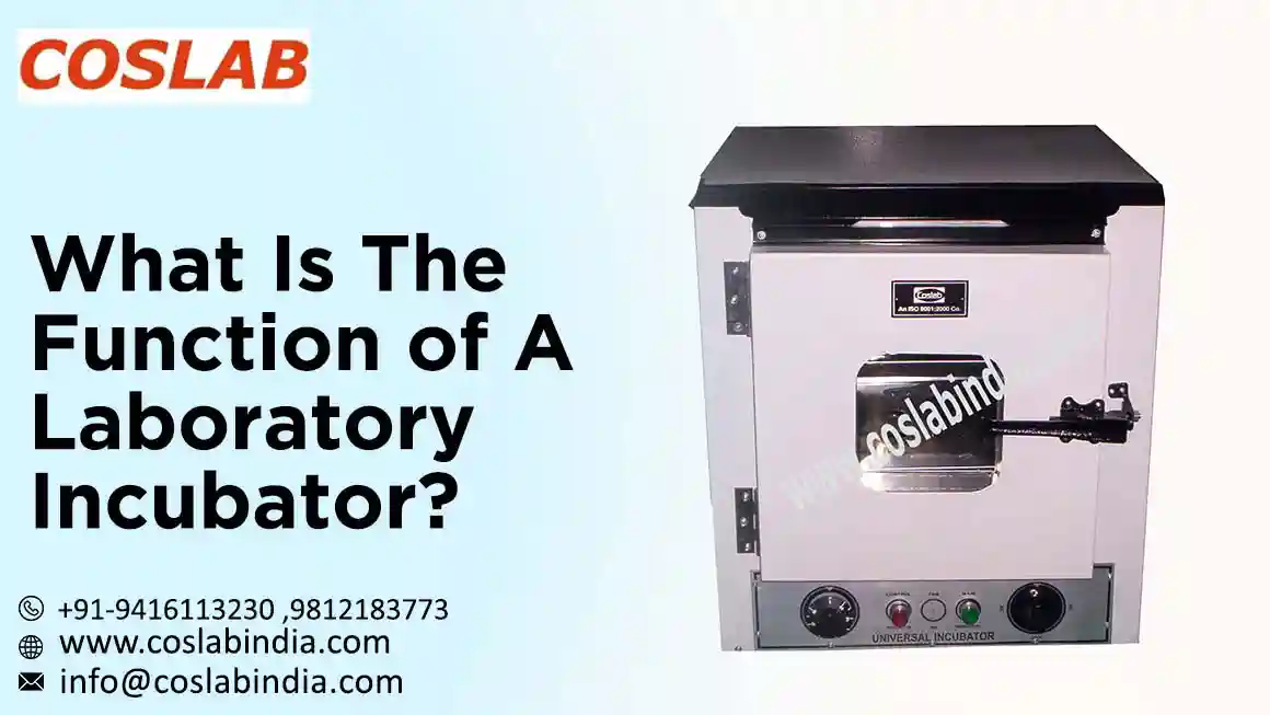 Incubator Manufacturers
