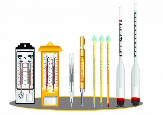 Maximum & Minimum Thermometer Zeal Type - CT-111 / 15250