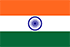 flagIcon
